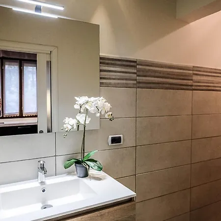 Apartament And